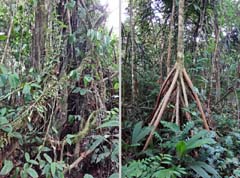 007_Peru_DSC01307_DSC01279_2HF_in4zu3