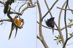 021_3001_IMG_0853_5215_IMG_0610_2HF