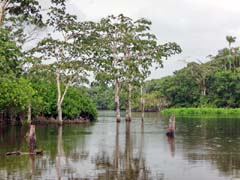 026_Peru_DSC01477_4zu3