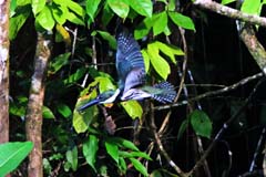 032_4903_Peru_IMG_0627_Sp