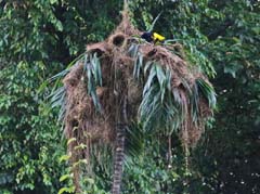 034_9401_Peru_IMG_0663_4zu3