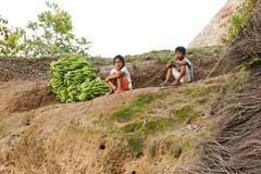 003_ZancudoCacha_IMG_2182