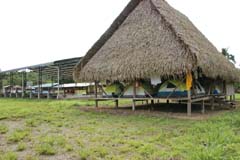 005_ZancudoCocha_IMG_2384