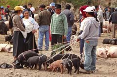 022_Otavalo_DSC00161_3zu2