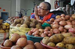 036_Cuenca_DSC03533_3zu2