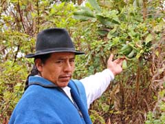 038__Cuicocha_IMG_4655_4zu3