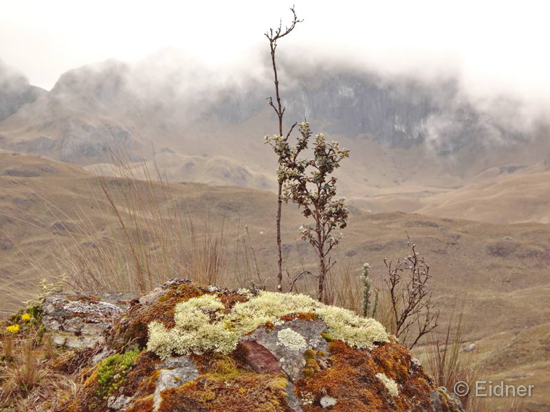 033_CajasNP_DSC04312