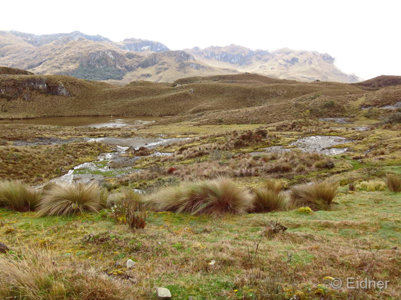 034_CajasNP_DSC04038