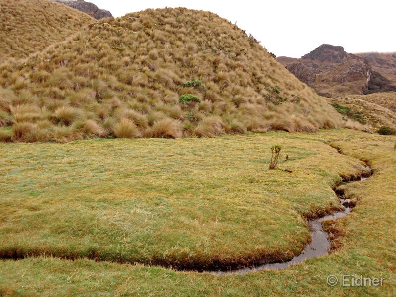 036_CajasNP_DSC04072