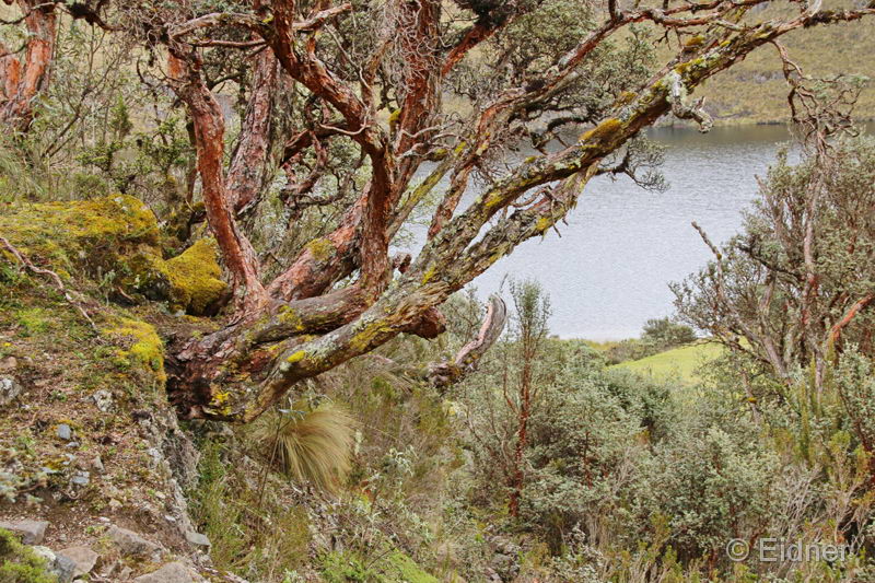 038_CajasNP_IMG_0074