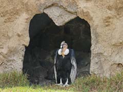 003_Kondorpark_IMG_9854_4zu3