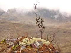 033_CajasNP_DSC04312