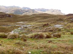 034_CajasNP_DSC04038