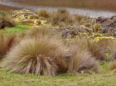 035_CajasNP_DSC04236