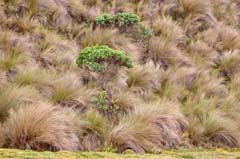 037_CajasNP_DSC04089_3zu2