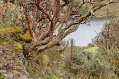 038_CajasNP_IMG_0074