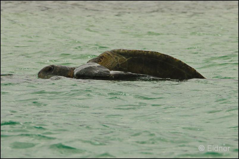 07_Galapagos_IMG_4799