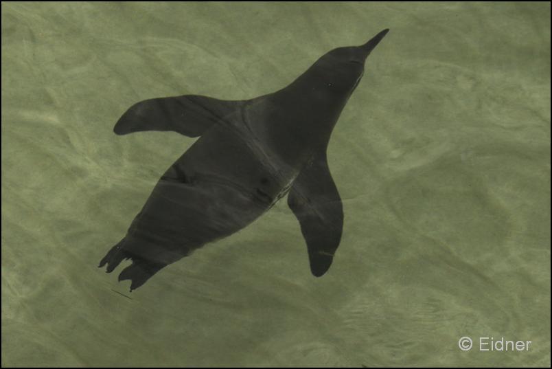 11_Galapagos_IMG_5144