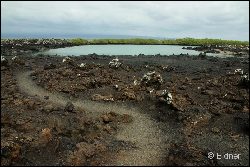 15_Galapagos_IMG_4983