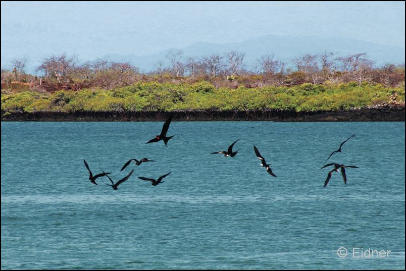 17_Galapagos_IMG_5696
