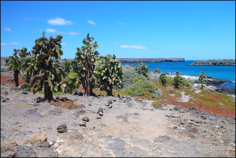 22_Galapagos_P1290783