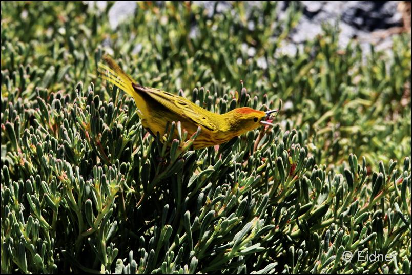 24_Galapagos_IMG_6471