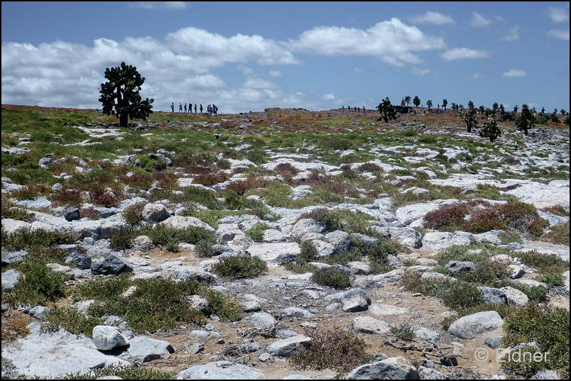 29_Galapagos_P1290815