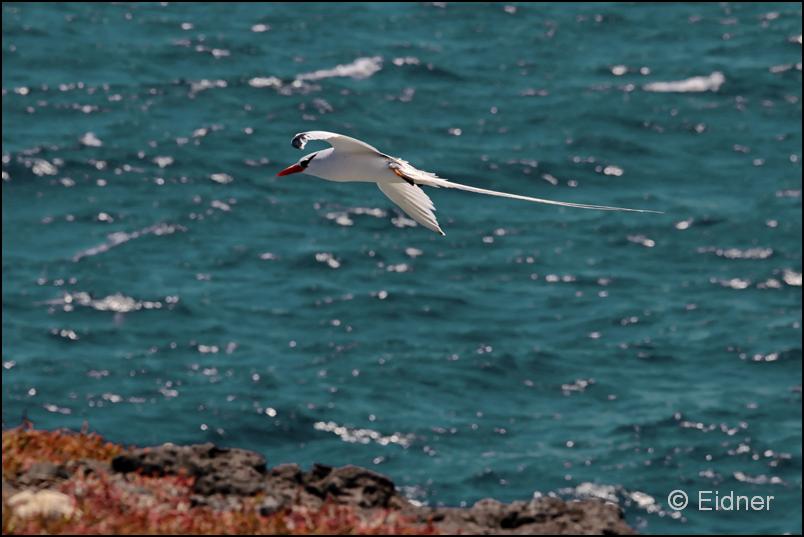 30_Galapagos_IMG_6644