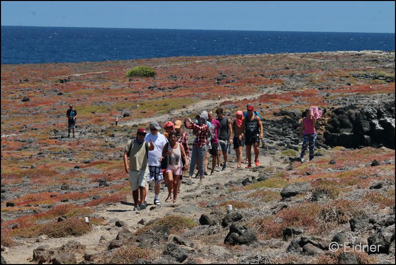 36_Galapagos_IMG_6999