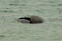 05_Galapagos_IMG_4731