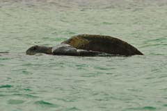 07_Galapagos_IMG_4799