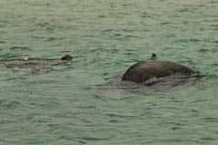 08_Galapagos_IMG_4819