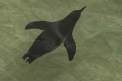 11_Galapagos_IMG_5144