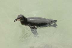 12_Galapagos_IMG_5136