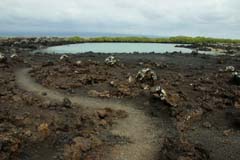 15_Galapagos_IMG_4983