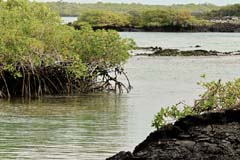 16_Galapagos_IMG_5103