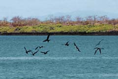 17_Galapagos_IMG_5696