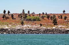 20_Galapagos_DSC05871