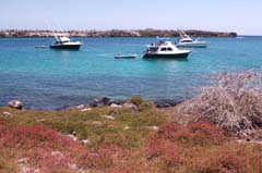 20_Galapagos_P1290771