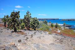 22_Galapagos_P1290783
