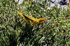 24_Galapagos_IMG_6471