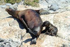 26_Galapagos_IMG_6230