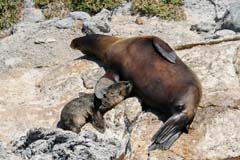 27_Galapagos_IMG_6260