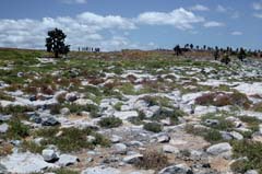 29_Galapagos_P1290815