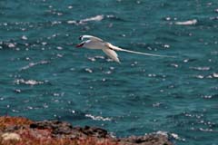 30_Galapagos_IMG_6644