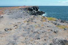 30_Galapagos_P1290816