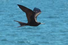 35_Galapagos_IMG_6830