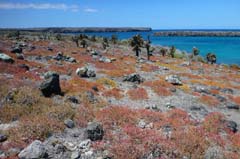 38_Galapagos_P1290823