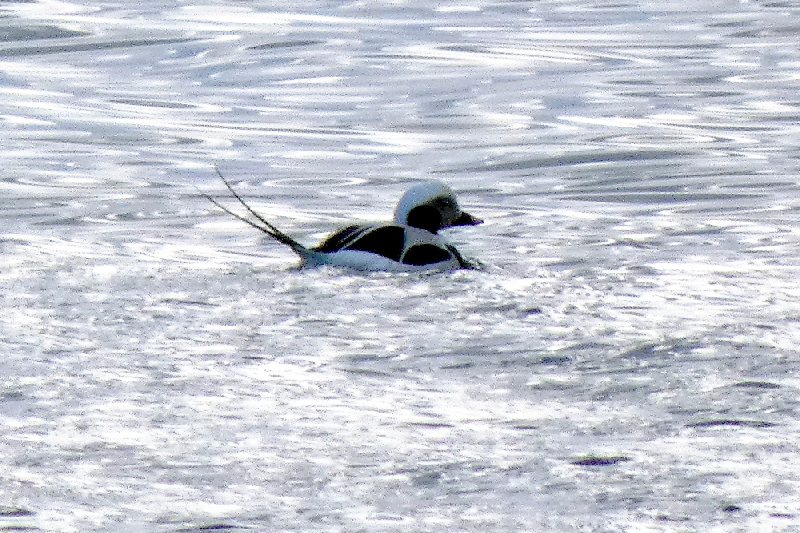 02_P1440415a2_3zu2b2