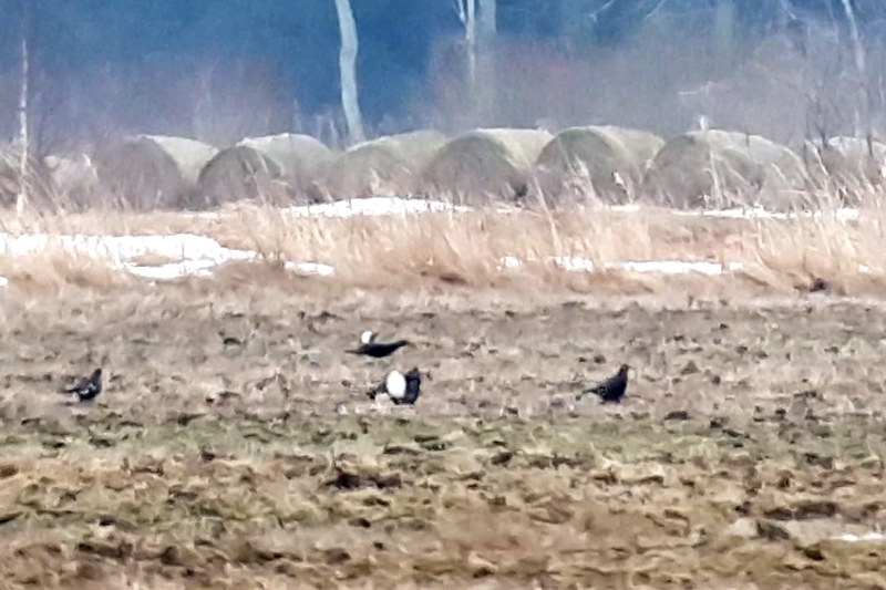 23_vlcsnap-2024-12-09-12h13m59s774a_3zu2b